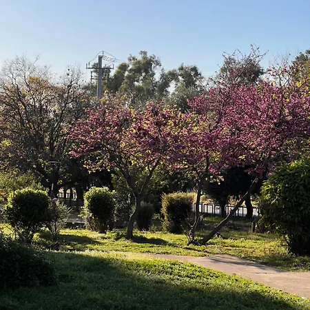 Sunny Athens-3